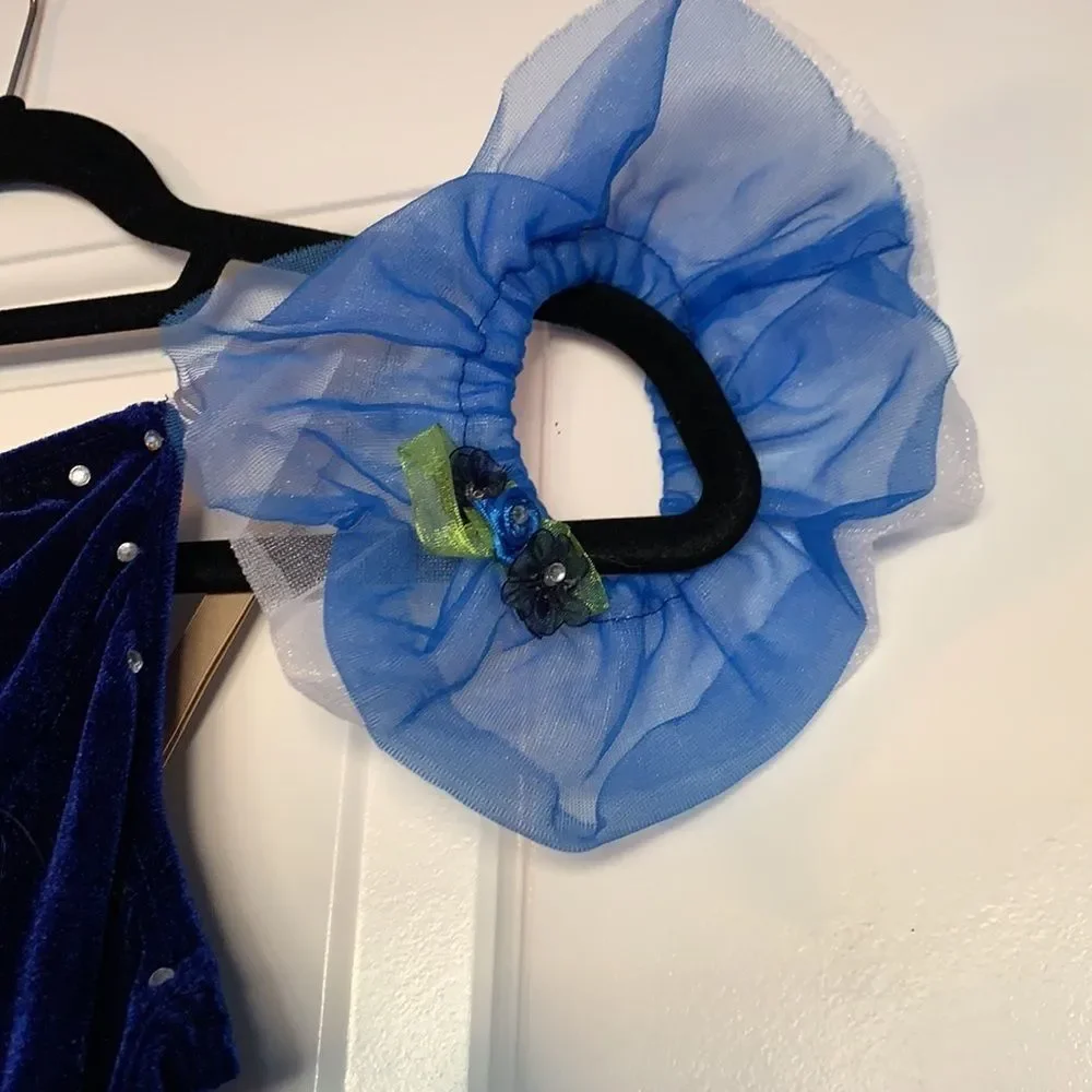 Gorgeous DANCE COSTUME Blue White Child's Ballet Tutu Pretty Flowers